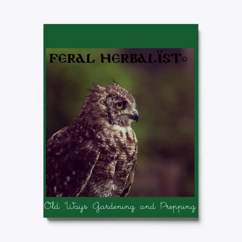 Feral Herbalist©